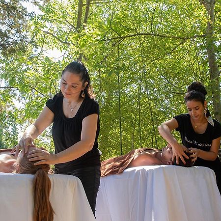 Hotel Mas Valentine Saint-Rémy-de-Provence Екстериор снимка